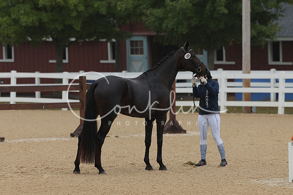 HLK_3696