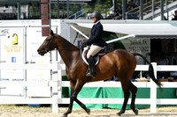 Adult Equitation US