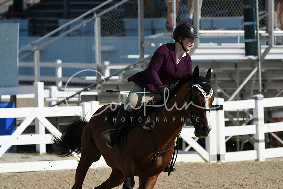 HSM_1689