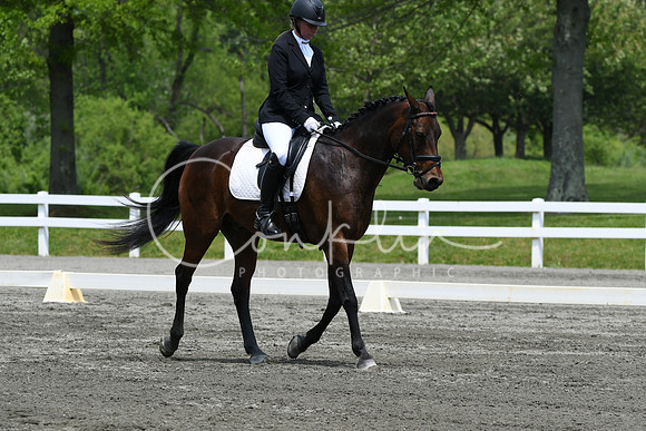 HSM_0427