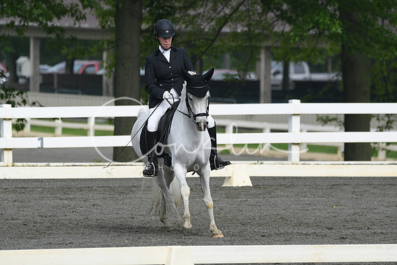 HSM_0982