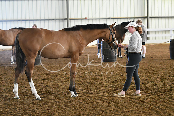 HSM_3616