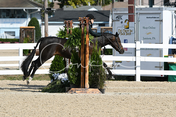 HSM_5942