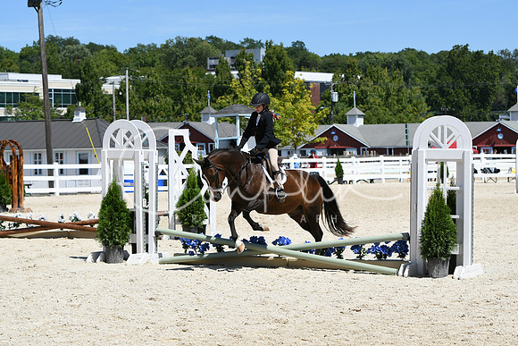 HSM_2931