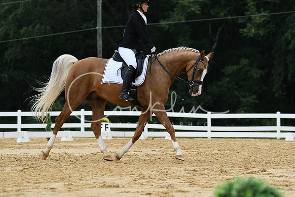 HSM_0270
