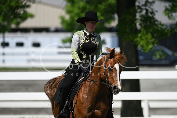 HSM_2817