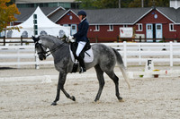 HSM_0590