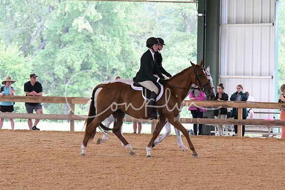 HSM_2373