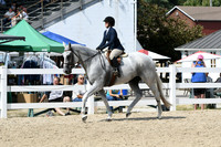 HSM_9294
