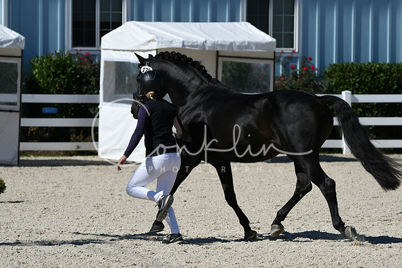 HSM_4629