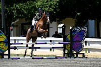 HSM_3347