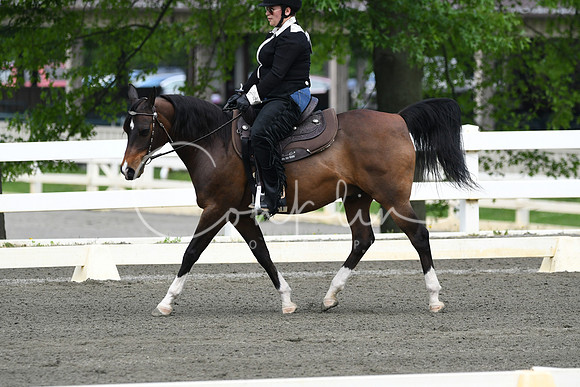HSM_2476