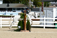 HSM_6108