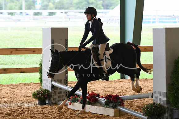 HSM_6931