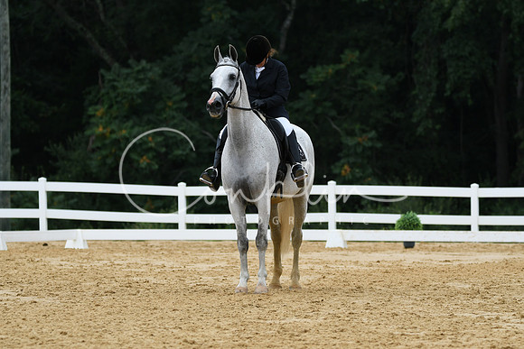 HSM_0372