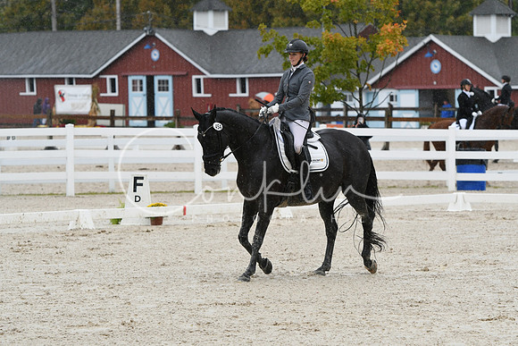 HSM_0335