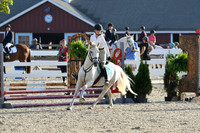 HSM_1082