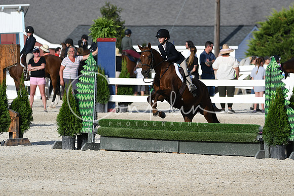 HSM_4394