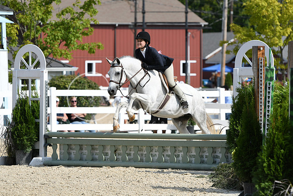 HSM_6253