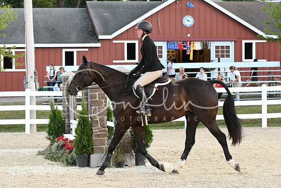 HSM_0390