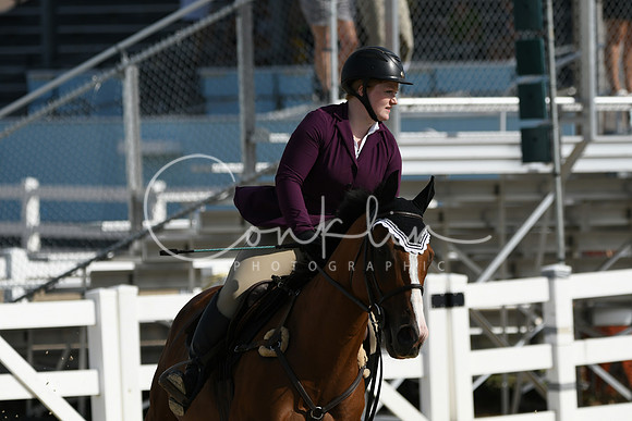 HSM_1684