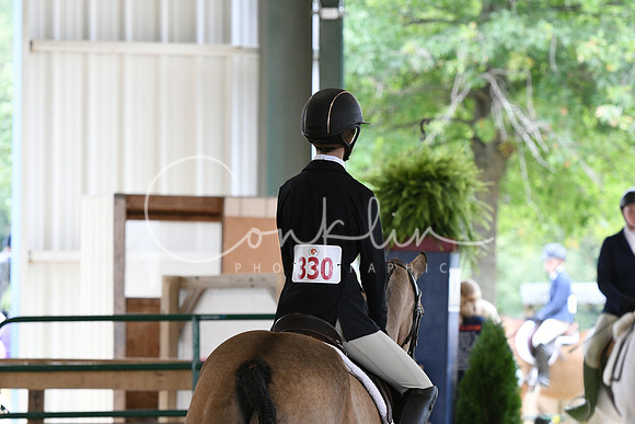 HSM_9618