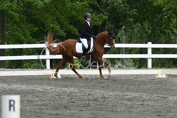 HSM_0626