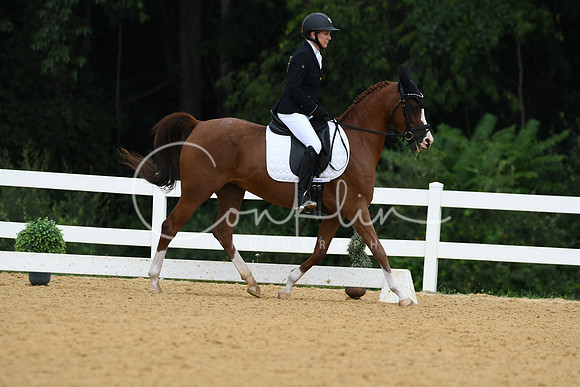 HSM_1072