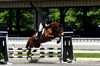 HSM_3226-1