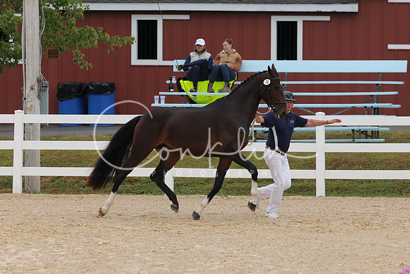 HLK_3588