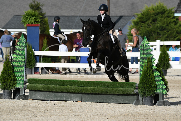 HSM_4281