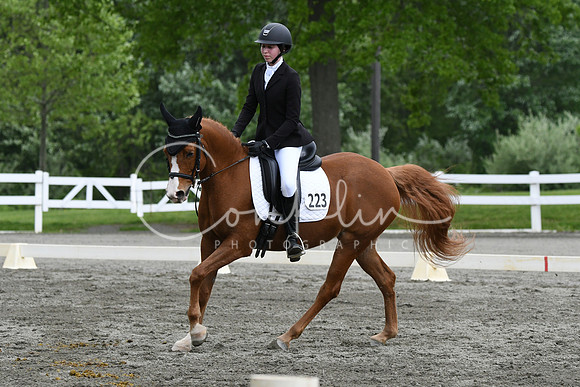 HSM_0631