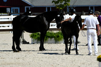 HSM_4708