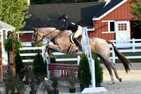 HSM_0246
