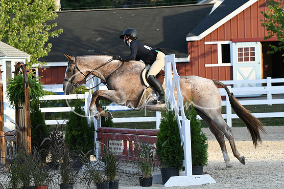HSM_0246