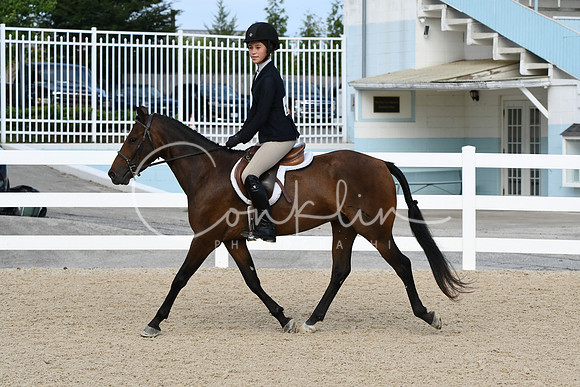 HSM_5492