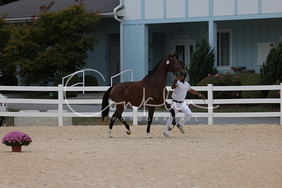 HLK_2262