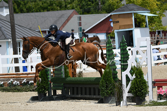 HSM_6906