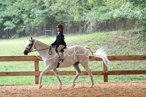 HSM_5331