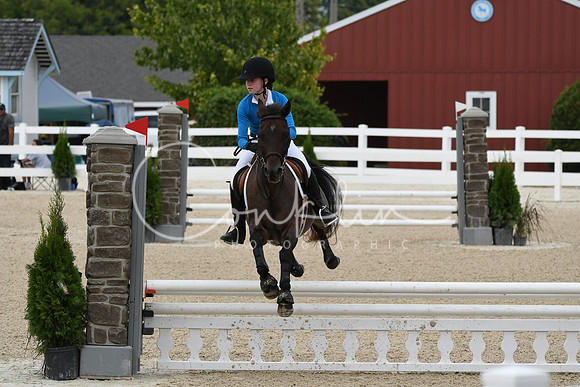 HSM_2831