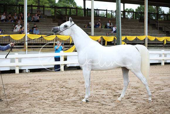 BW189880