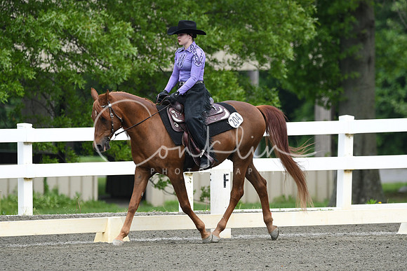 HSM_2450