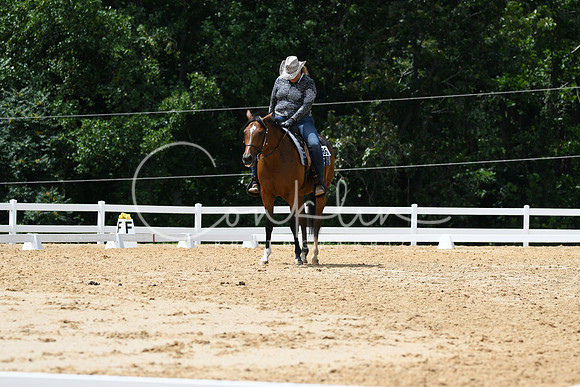 HSM_0525