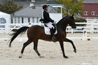 HSM_0493