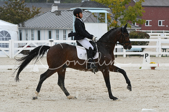 HSM_0493
