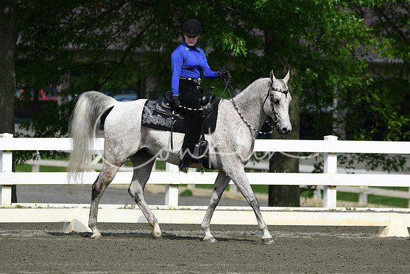 HSM_2564