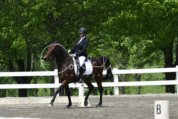 HSM_0451