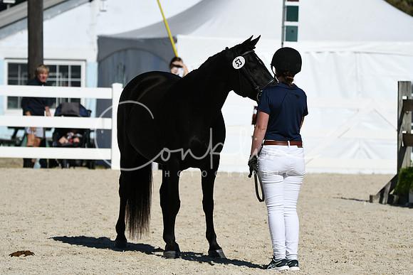 HSM_4595