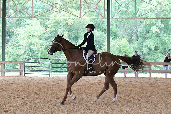 HSM_2493
