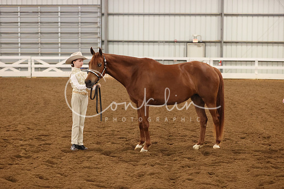 RJC32096